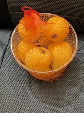そんな暮らしが羨ましい(°▽°)