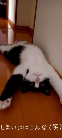本指名Ｋ様への御礼です
