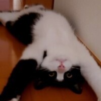 高宮 かなで
