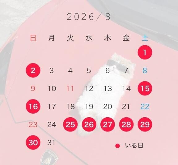 8月の予定です?