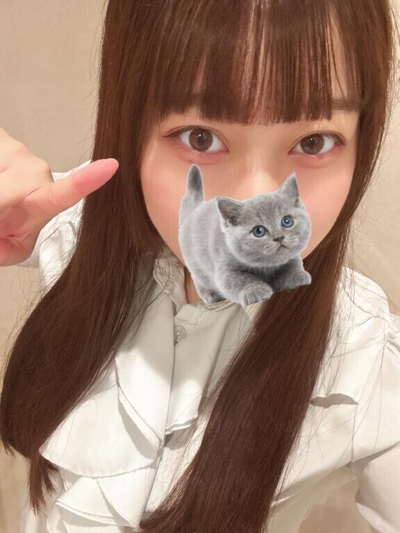 にゃんにゃん木曜日