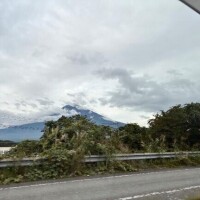 出勤してるよんよん