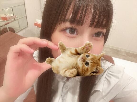 居ます！水曜日！