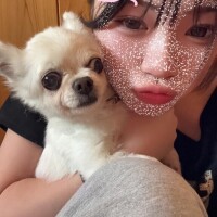 ココロ