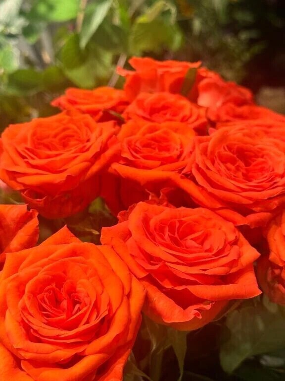 🩵ありがとう🩵