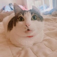 ちゅっちゅ( *˘ ³˘)💖