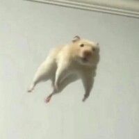いのり