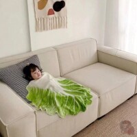 はやくこれになりたい