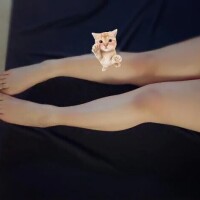 いじめてください♡