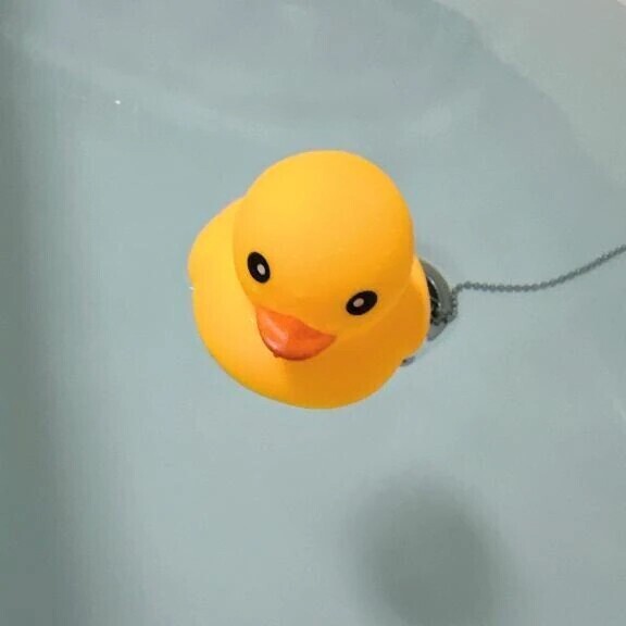 ぷかぷか🐥🫧