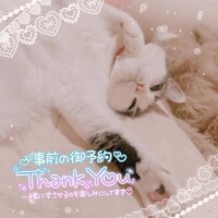 来週いっぱい居ます😽💖