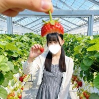 お礼💌