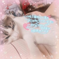 ご予約はお早めに…😽💘