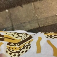 お疲れ様❤️