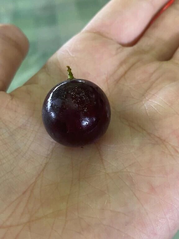 申し訳ないです…