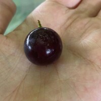 申し訳ないです…