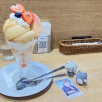 みんなの推しは〜？