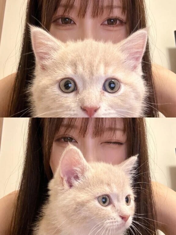 少しでも。。