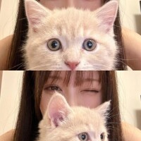 少しでも。。