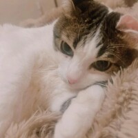 血祭りのためお休み😢😢