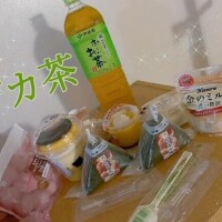 本指名ようちゃ