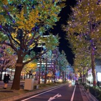 お礼💜