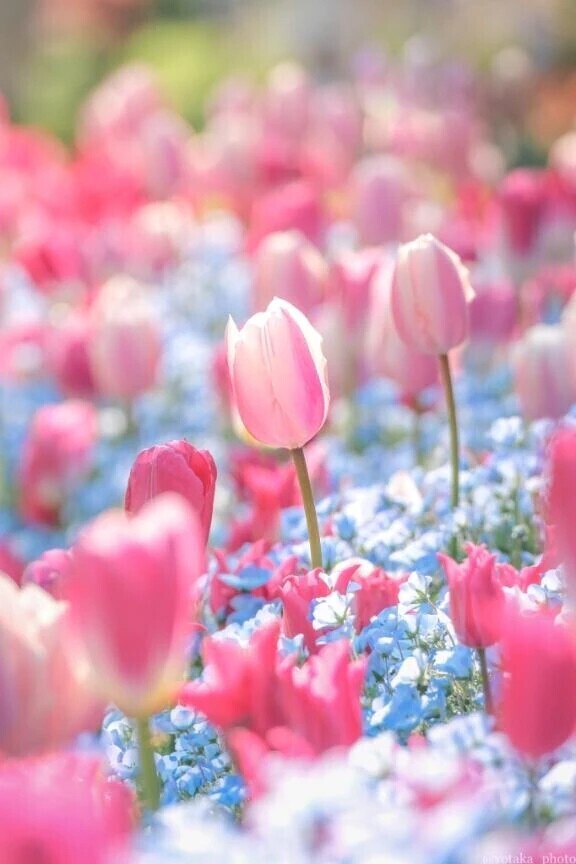 昨日のお礼💌