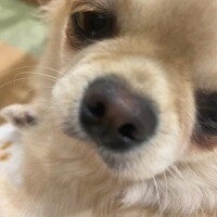 お腹すいたあ〜🥹