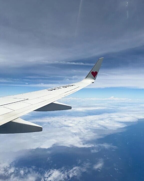 共通点