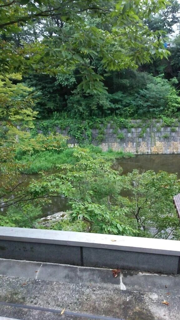 短い時間ですか