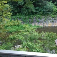短い時間ですか