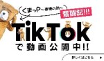 TikTok始めました
