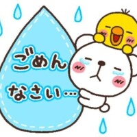 お礼💞