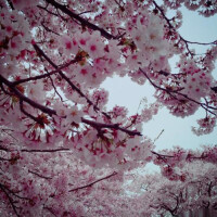 5日のありがとう🩵