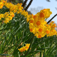 12日のありがとう🩵