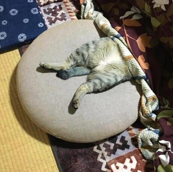 😴