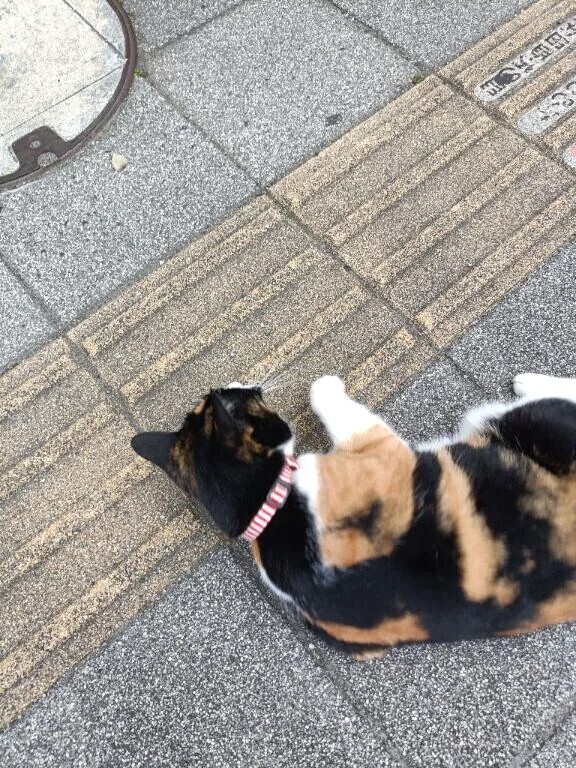 いよいよ