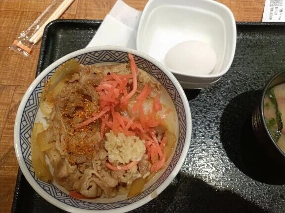 今日は吉牛にしました