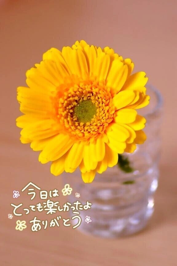 ❤おれい❤と出勤について🤫
