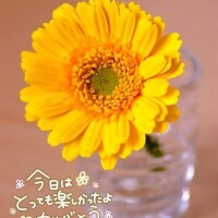 まき