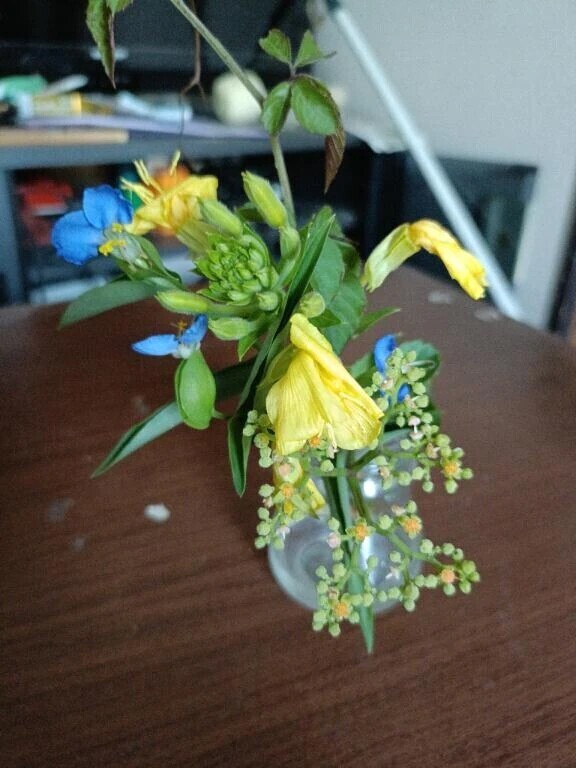 お花