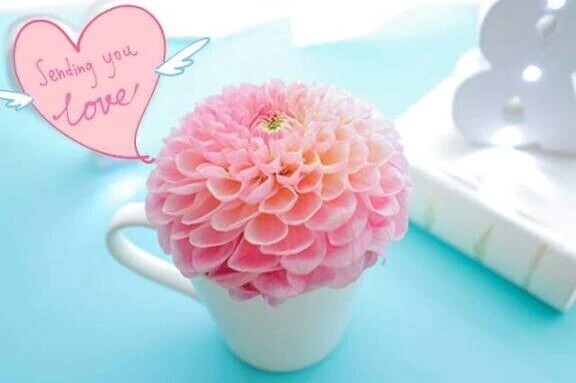 ❤おれい❤