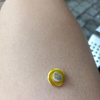 みこと