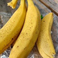 みこと