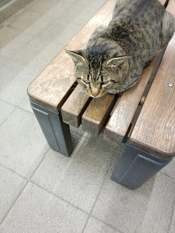 今、電車です
