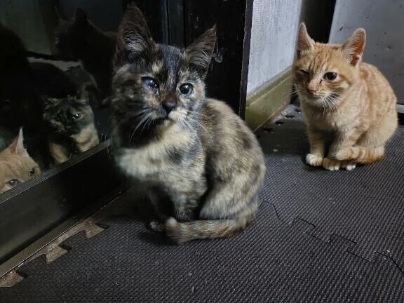 お写真ですよ