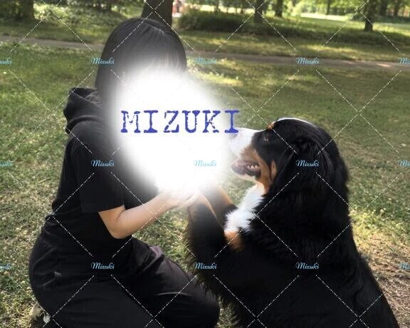 🐶🐶🐶