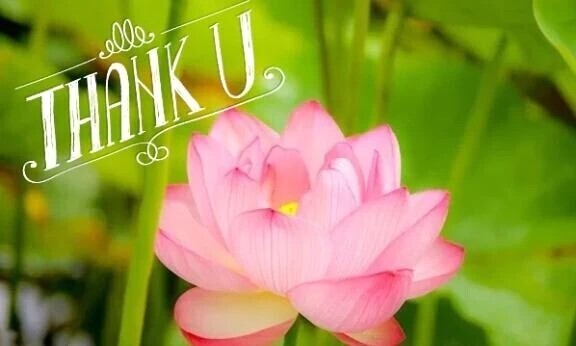 ❤おれい❤