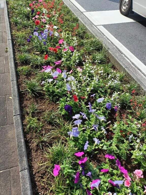 早めに