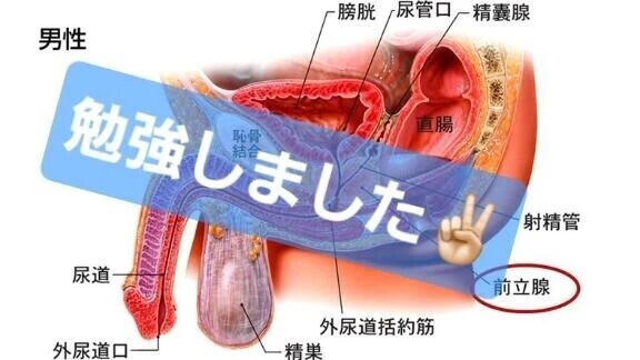 【前立腺】オネエ様と3時間ミッチリ…🤤💗